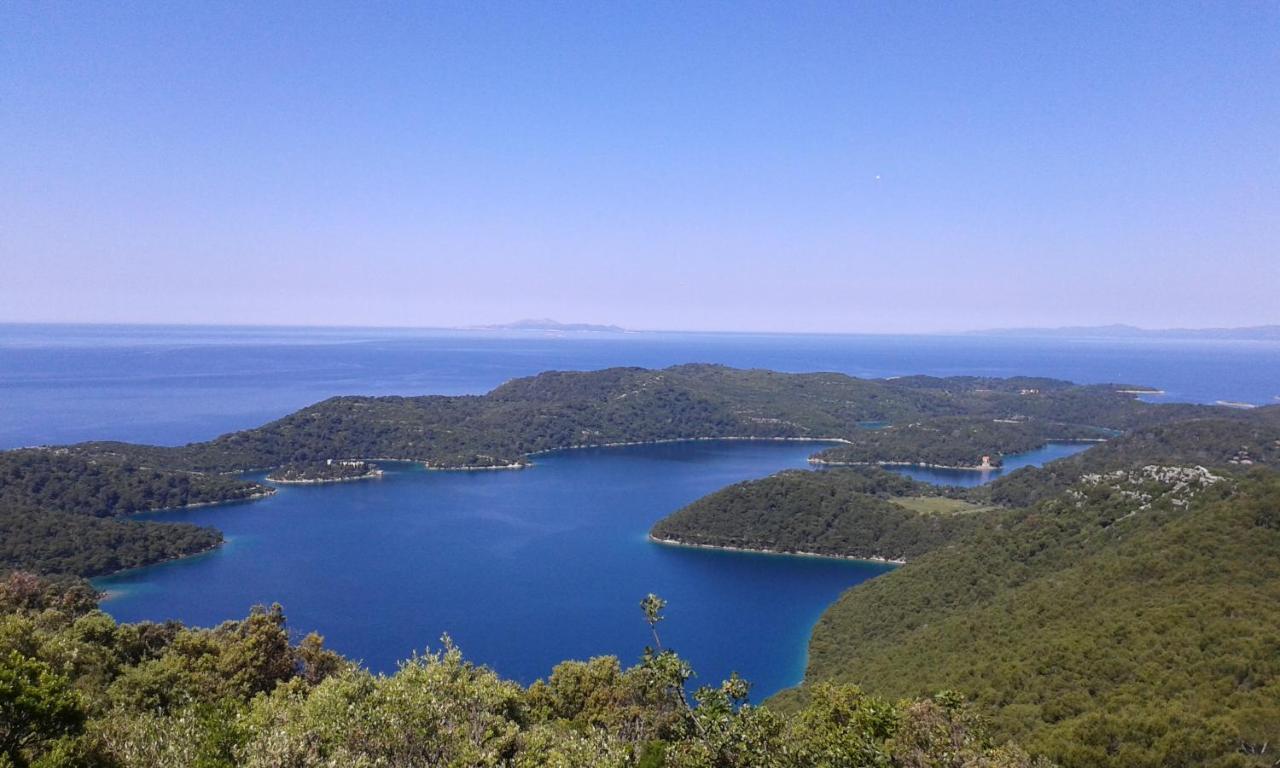 Apartamento Sunny Side Of Mljet Babino Polje Exterior foto